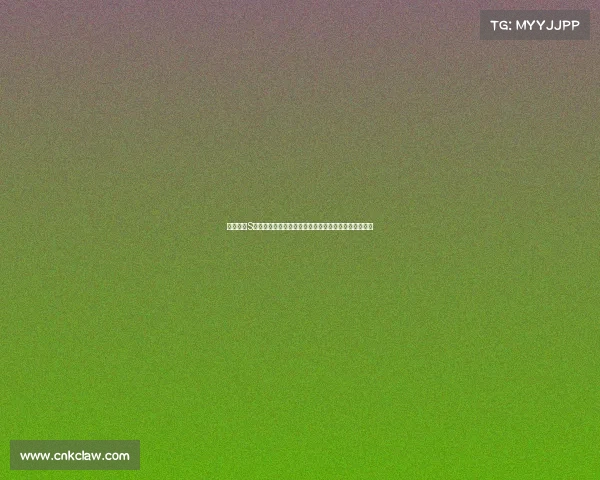 英雄联盟S赛运营策略与战队表现分析：从备战到决赛的全程解析